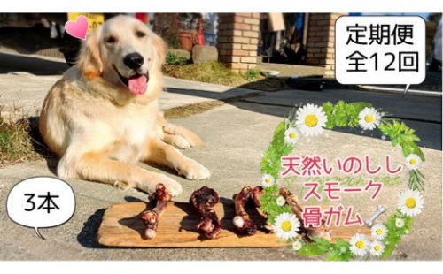 FB144 大型犬向け☆天然いのししのスモーク骨ガム3本全12回