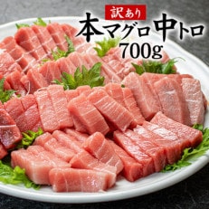 本マグロ訳あり中トロ 約700g 解凍レシピ付き