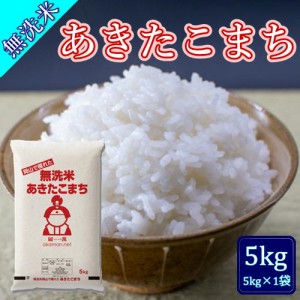 無洗米 5年産 お米 あきたこまち 5kg (5kg×1袋) 令和5年産 岡山県産 令和5年 ブランド米 便利な無洗米 送料無料 北海道・沖縄宛は送料77