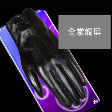 【巴黎精品】現貨+預購 真皮手套男手套-羊皮鈕扣加絨觸控男配件a1dx9