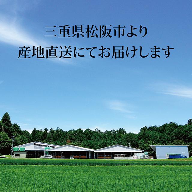 松阪牛 ステーキ カイノミ 松阪牛 ギフト 牛肉 A5 A4 肉 ヒレ 和牛 国産 希少部位 贈り物 食品 贈答品 2,400g(150g×16枚) 16人前