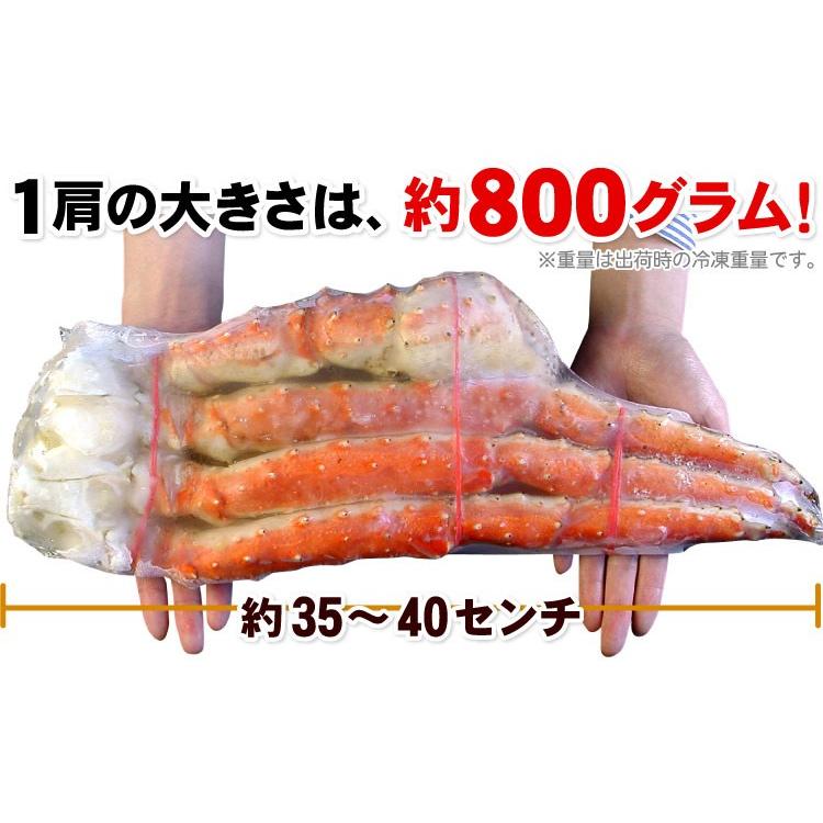 たらばがに足 Lサイズ 約800ｇ×2肩 合計約1.6キロ カニ 蟹 タラバ タラバガニ 送料無料（沖縄宛は別途送料を加算）