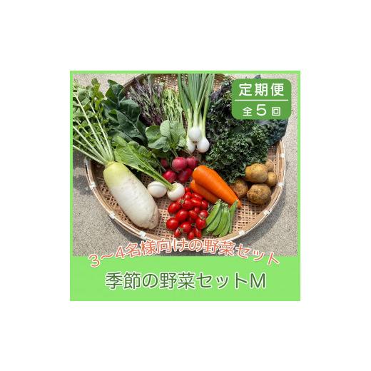 ふるさと納税 京都府 綾部市 京都府綾部市の季節の野菜セットM（3〜4名様分）農薬不使用 無農薬 新鮮 野菜 セット 詰め合わせ 京都 綾部 農家…