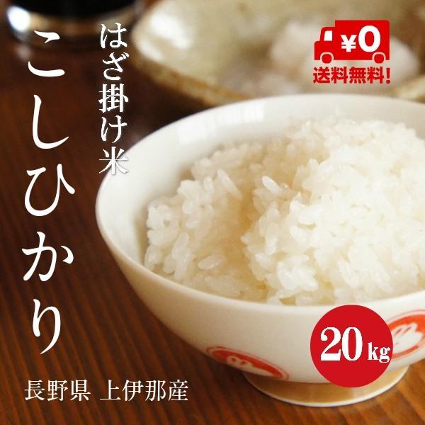 新米 令和５年産 長野県産 こしひかり 「はざ掛け米」 １等米 白米 ２０kg