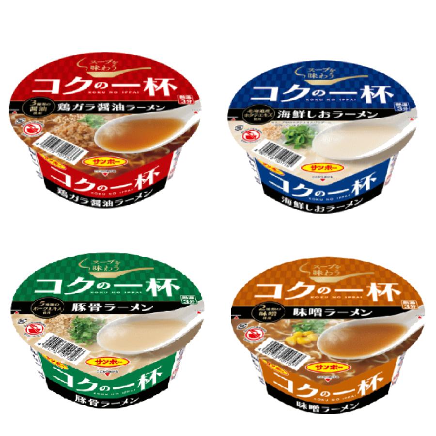 サンポー食品 九州の味 こくの一杯 海鮮しお ガラ醤油ガラ豚骨 ガラ塩ラーメン 4柄 12食セット 関東圏送料無料