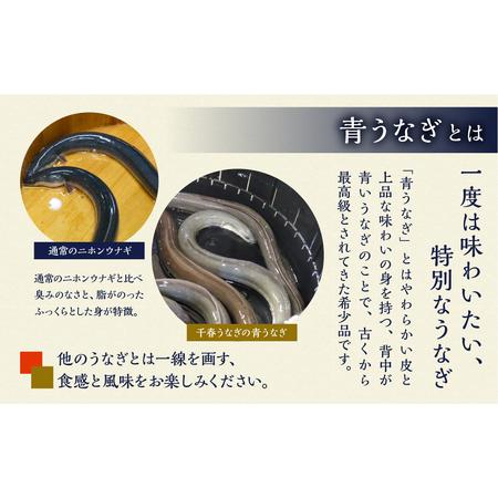 ふるさと納税 厳選 高級 青うなぎ 3尾 蒲焼 450g  愛知県田原市