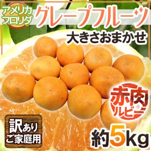 フロリダ産 ”グレープフルーツ ルビー” 訳あり 約5kg 大きさおまかせ 送料無料