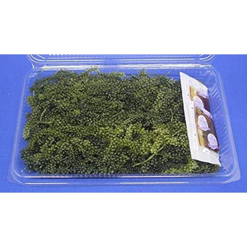 生海ぶどう 茎なしたっぷり400g ☆タレ4p付き