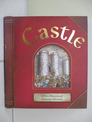 【書寶二手書T6／兒童文學_TV1】Castle_Crosbie, Duncan/ Dixey, Kay (ILT)/ Finch, Keith (CON)