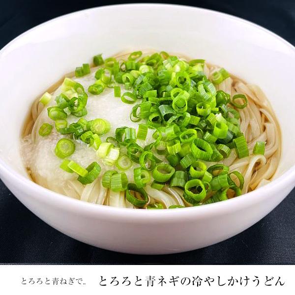 うどん ギフト 稲庭うどん小川 稲庭うどん 詰め合わせ (100g x 8束) 贈答用 ギフト プレゼント