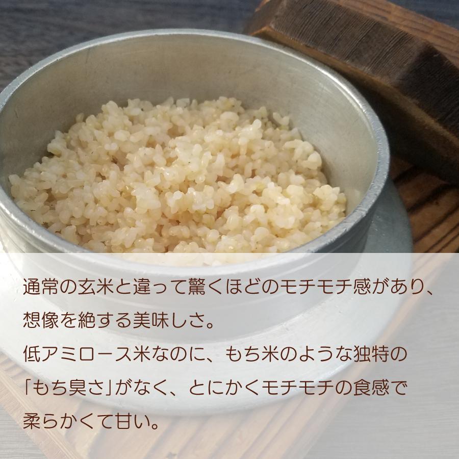 玄米 令和４年産 淡雪こまち ５kg 秋田県産 送料無料 国産 ギフト お米 お取り寄せ お試し 御中元 お中元 御歳暮 敬老の日 御礼 誕生祝い 御祝 返礼品