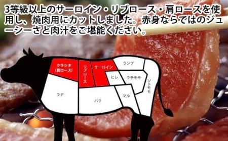 南国高知の土佐和牛焼肉セット600g　3種盛　牛肉セット　肉詰め合わせ