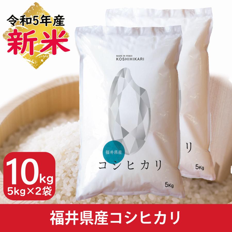 新米 米 コシヒカリ 10kg 5kg×2袋 福井県産 白米 令和5年産 送料無料