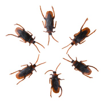 假蟑螂 仿真蟑螂 塑膠蟑螂 整人蟑螂 逼真假蟑螂 小強 愚人節 小禮物【HT61】