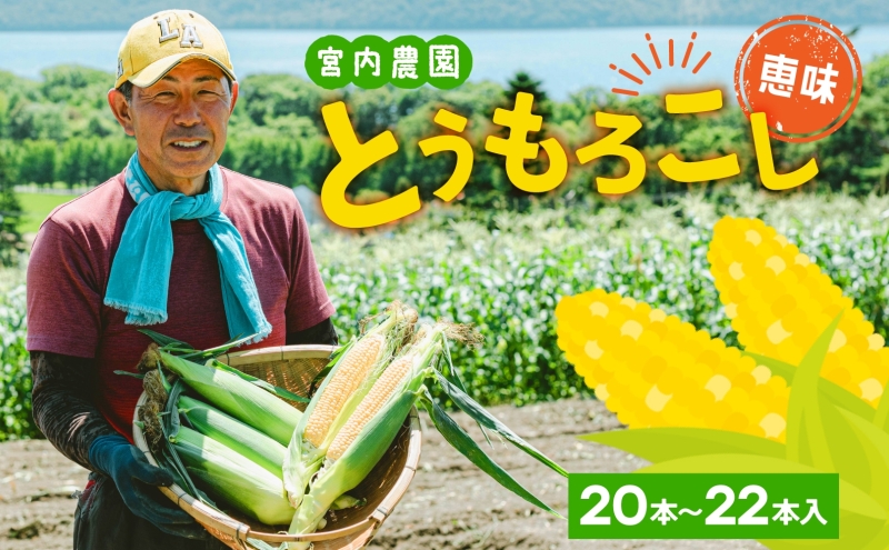 北海道産 とうもろこし 恵味 めぐみ 2L 20～22本 朝採り トウモロコシ 玉蜀黍 コーン とうきび 大きめ スイートコーン 甘い 旬 夏 新鮮 もぎたて 朝採れ 産地直送