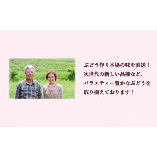 ふるさと納税 岡山県 備前市 岡山県備前市産　樹上完熟ぶどう　味くらべセット