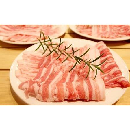 ふるさと納税 （京丹波高原豚 バラ しゃぶしゃぶ 1kg 豚バラ 豚しゃぶ 肉 豚バラ 豚しゃぶ  焼肉 豚バラ .. 京都府