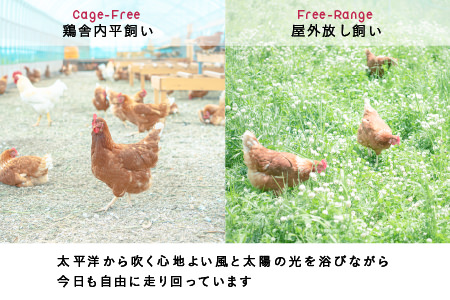 無投薬･自然養鶏の平飼い自然卵＜25個セット＞