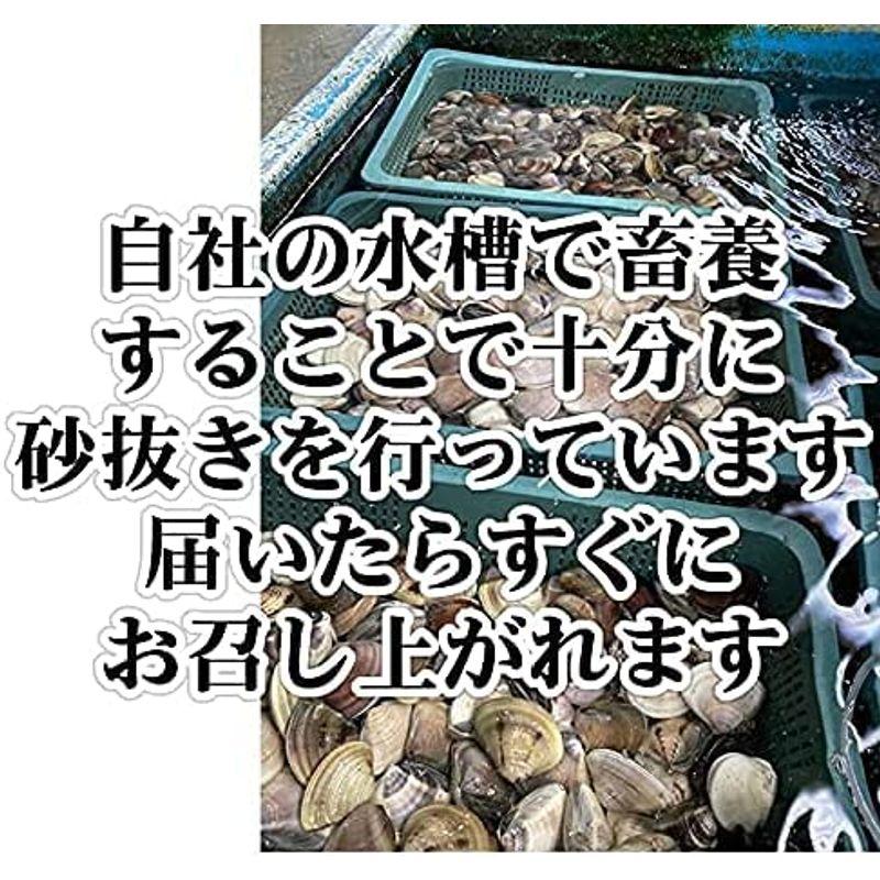 冷凍 はまぐり 特大サイズ 90ｇ?140ｇ 7?11個 1ｋｇ分 国産 冷凍はまぐり