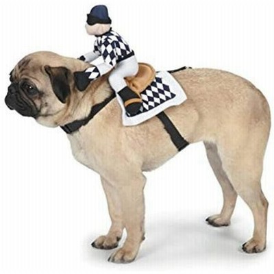 二足 歩行 コスチュームの通販 165件の検索結果 Lineショッピング