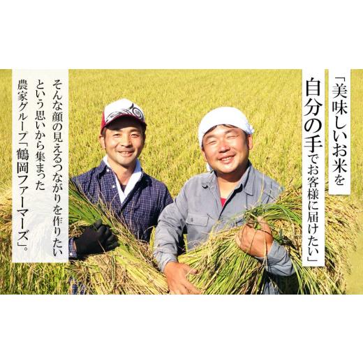 ふるさと納税 山形県 鶴岡市 令和5年産 新米  特別栽培米 山形つや姫 定期便 精米10kg(5kg×2袋)×3ヶ月 鶴岡ファーマーズ