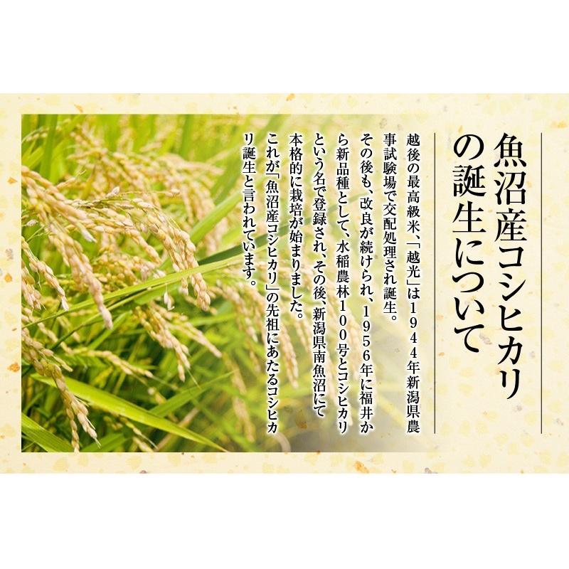 令和５年産 新米 コシヒカリ 20kg 玄米 特Ａ地区 魚沼産 新潟県 南魚沼 JAみなみ魚沼農協 天地米 産地限定 こしひかり 送料無料