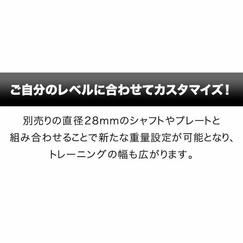 ファイティングロード 10kgプレート2枚 28mm まつっ
