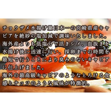 ふるさと納税 ＜クニトミキャビア 120gセット(20g×6)＞翌月末迄に順次出荷 宮崎県国富町