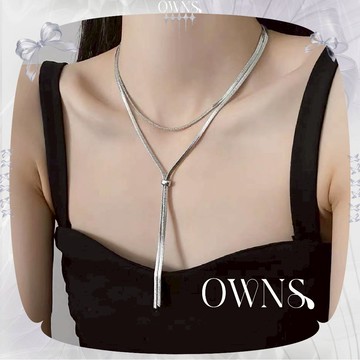 🥀旺斯女孩🥀蛇骨方胖領帶項鍊金屬蛇骨片繩項鏈鎖骨鏈流蘇項鍊銀色高級簡約感項鍊