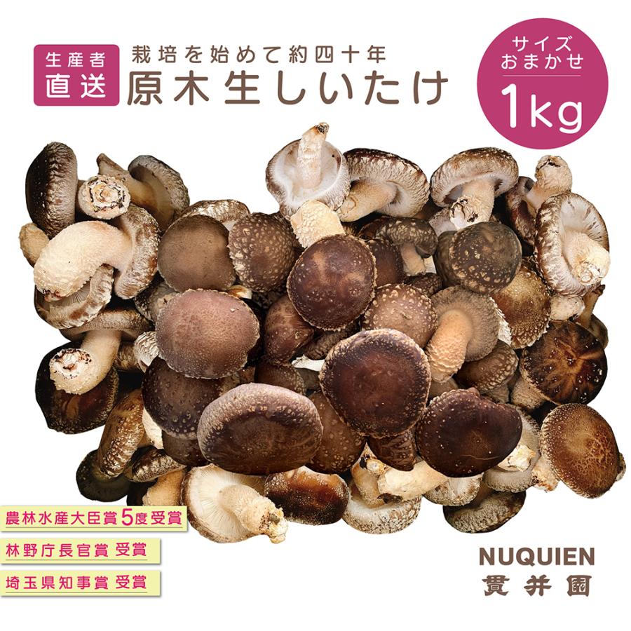 生産者直送！ 原木生しいたけ サイズおまかせ　1Kg　　お買得　貫井園 の 原木椎茸　原木しいたけ　原木シイタケ