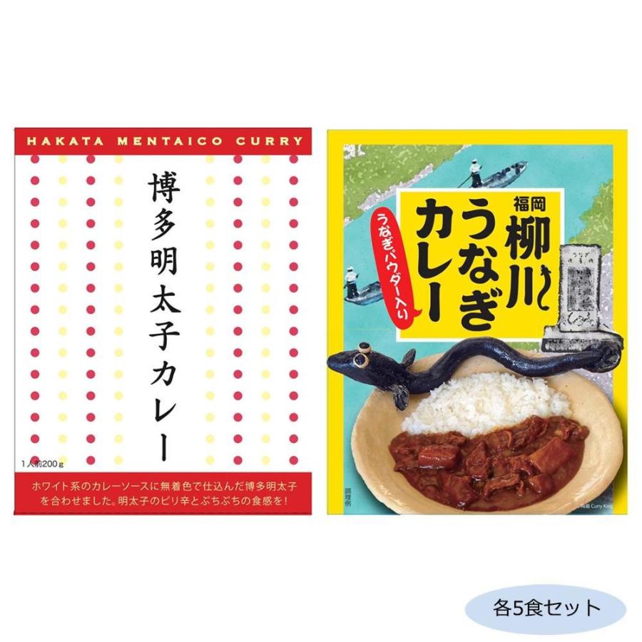 ご当地カレー 福岡博多明太子カレー＆柳川うなぎカレー うなぎパウダー入り 各5食セット