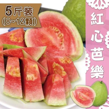 【家購網嚴選】紅心芭樂5斤裝(7~9顆)/盒