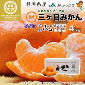 [予約 2023年 11月15日-12月15日の納品] 三ケ日みかん 樹上完熟 心 こころ 約 4kg 静岡県 高品位 早生みかん JAみっかび 早生 御年賀