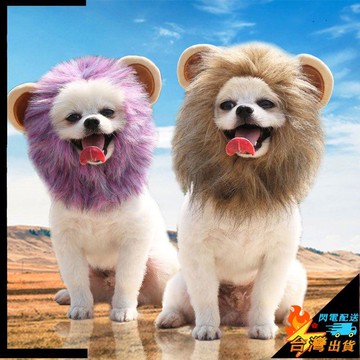 【台灣出貨】寵物變身帽子 獅子變身萬聖節帽子 聖誕節狗狗帽子 貓咪帽子 魔術貼可調節 秋冬寵物用品