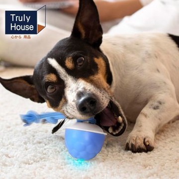 Truly House 寵物智能滾動球 解悶玩具 聲光逗貓球 逗貓 寵物(兩色任選)