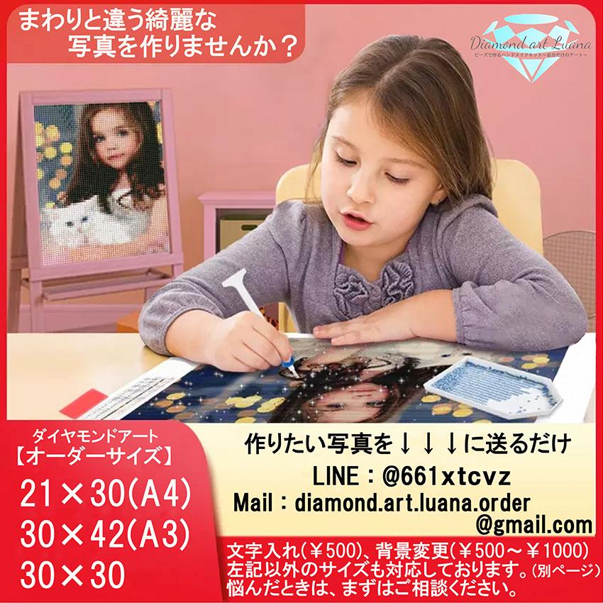 ABビーズ ダイアモンドアートキット 40×50 スクエアビーズ  A-105☆ - 2
