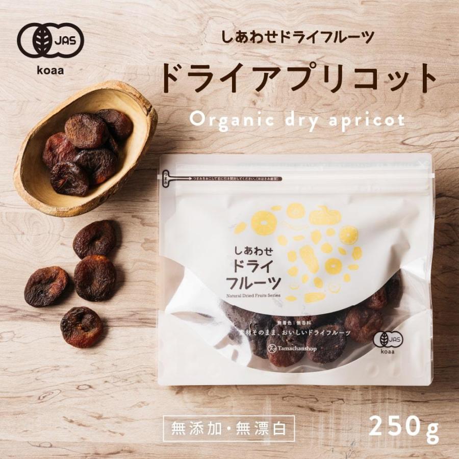 ドライ アプリコット 250g 無添加 ドライフルーツ あんず 杏 トルコ産 オーガニック 有機 JAS 送料無料