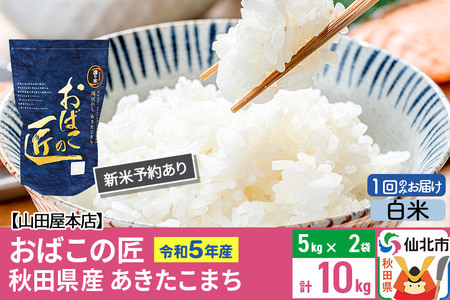 令和5年産 仙北市産 新米予約 おばこの匠 10kg（5kg×2袋）秋田県産あきたこまち 秋田こまち