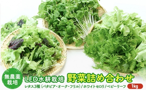 LED水耕栽培 野菜詰め合わせ 1kgセット