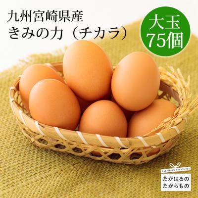 ふるさと納税 高原町 宮崎県産『きみの力(チカラ)』L玉75個　特産品番号406