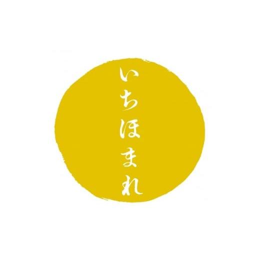 ふるさと納税 福井県 福井市 福井が生んだブランド米「福井県産いちほまれ」10kg × 1袋   [A-014013]