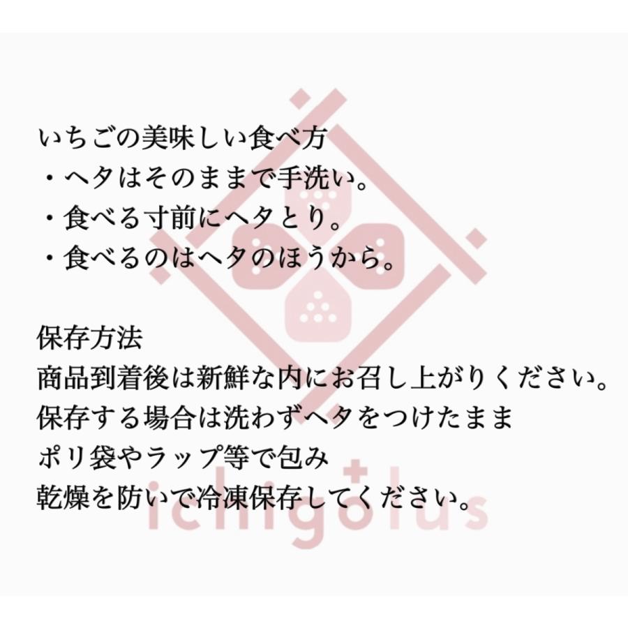 〜お歳暮先行予約 12月順次発送〜 熊本産 雅乃苺  淡雪 赤いちご 紅白セット-400g お歳暮 クリスマス 誕生日