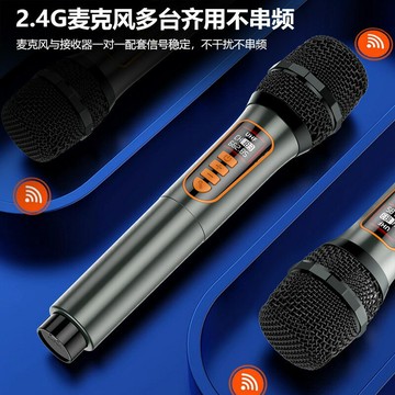 跨境熊貓一拖二話筒家用KTV聲卡混響舞臺直播話筒電鍍金屬質話筒【北歐家居生活】