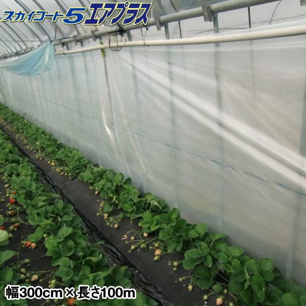 タキロンシーアイ 独立気泡構造農業用PO スカイコート5エアプラス 幅300cmx長さ100m