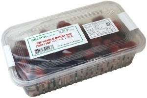 冷凍ベリーミックス　500ｇ