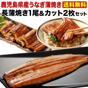 父の日 プレゼント ギフトうなぎ 食べ物 グルメ 蒲焼き  国産 鹿児島産 長蒲焼き1尾カット2枚セット ギフトBOX うなぎの里 クール