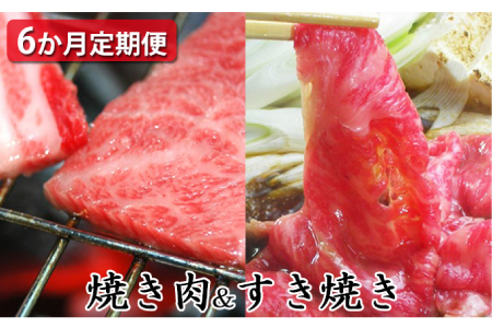 石見和牛でちょっと贅沢！焼肉・すき焼き定期便（合計約2.6kg）