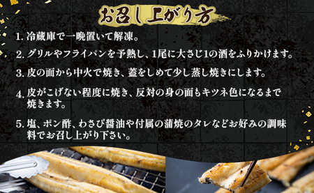 高知県産うなぎの白焼き 150～180ｇ×4尾 エコ包装 国産 うなぎ 白焼き 鰻 冷凍 高知 yw-0059