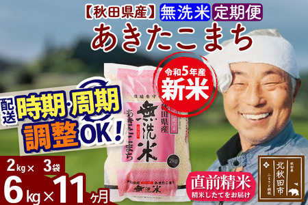 《定期便11ヶ月》＜新米＞秋田県産 あきたこまち 6kg(2kg小分け袋) 令和5年産 配送時期選べる 隔月お届けOK お米 おおもり