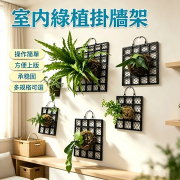 現貨現貨6h速達🍀成品直用🍀 植床板鹿角蕨板 植物板植物框蕨類上板神器 塑膠植物板透氣板女王鹿角蕨 石斛蘭花加厚鹿角蕨板